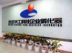 光谷孵化器眾創(chuàng)空間大閱兵 上篇——信息技術(shù)咨詢服務(wù)的新篇章